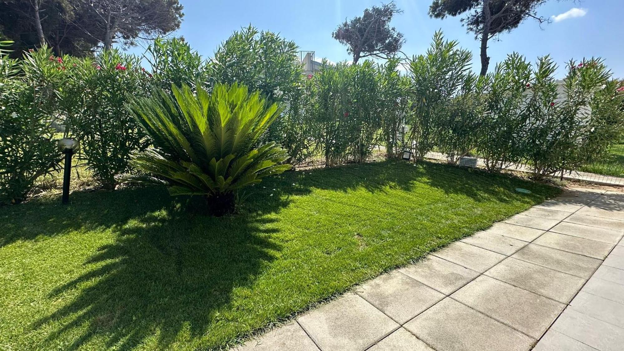 Magnifique Villa Neuve En Bord De Mer Σάσαρι Εξωτερικό φωτογραφία